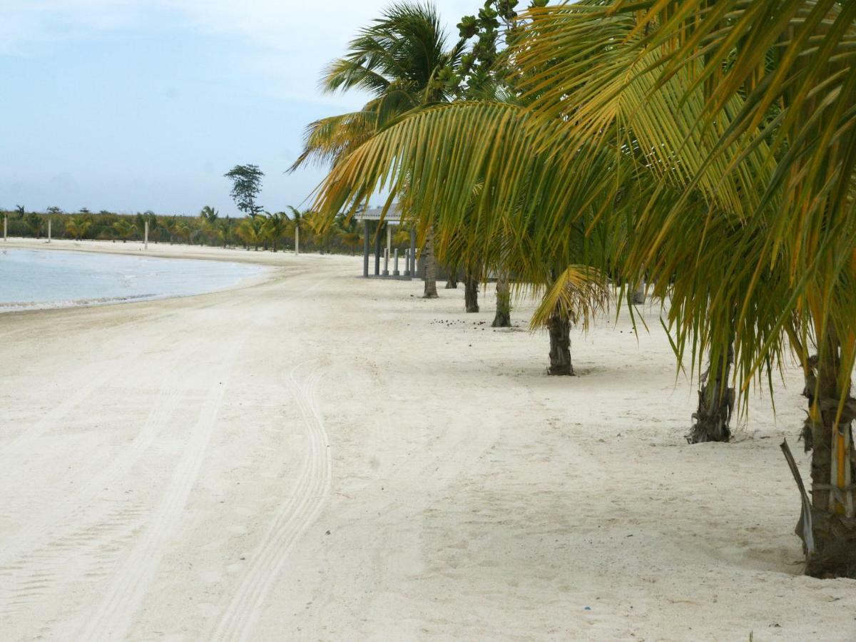 Jamnick Vacation Rentals - Richmond, St Ann, Jamaica Очо Риос Екстериор снимка